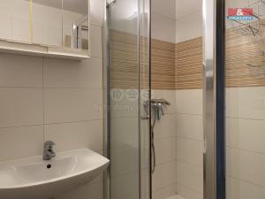 Pronájem bytu 5+kk, Praha - Malá Strana, Zborovská, 114 m2