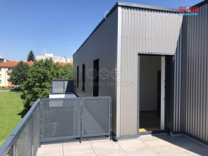 Pronájem bytu 4+kk, Dobruška, 120 m2