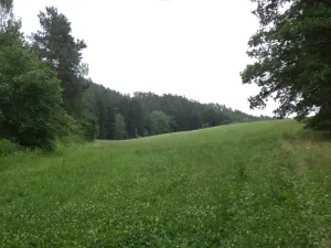 Dražba pole, Tuhaň, 19964 m2