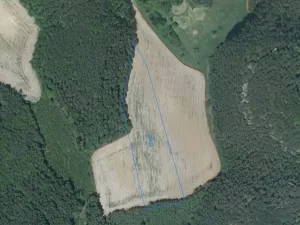Dražba pole, Tuhaň, 19964 m2