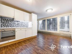Pronájem bytu 1+kk, Šternberk, Labutí, 31 m2