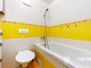 Pronájem bytu 1+kk, Šternberk, Labutí, 31 m2