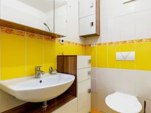 Pronájem bytu 1+kk, Šternberk, Labutí, 31 m2