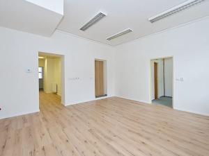 Pronájem obchodního prostoru, Brno, Horova, 132 m2