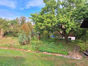 Prodej chaty, Hradec Králové - Nový Hradec Králové, Zahrádkářská osada Třešňovka, 30 m2