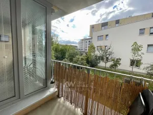 Pronájem bytu 2+kk, Praha - Žižkov, Olgy Havlové, 52 m2