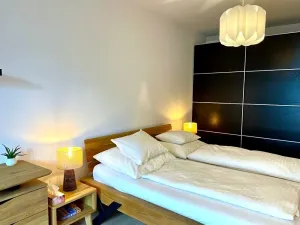 Pronájem bytu 2+kk, Praha - Žižkov, Olgy Havlové, 52 m2