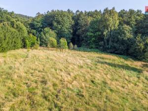Prodej louky, Nový Bor - Janov, 5500 m2