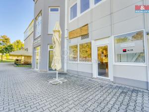 Pronájem obchodního prostoru, Třemošná, Plzeňská, 100 m2