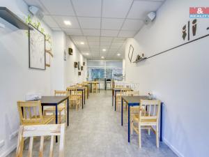 Pronájem obchodního prostoru, Třemošná, Plzeňská, 100 m2
