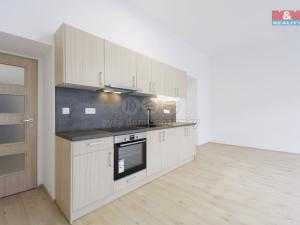 Pronájem bytu 1+kk, Plzeň - Jižní Předměstí, Americká, 55 m2