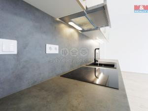 Pronájem bytu 1+kk, Plzeň - Jižní Předměstí, Americká, 55 m2