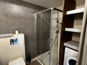 Prodej bytu 1+kk, Praha - Nové Město, Petrská, 56 m2