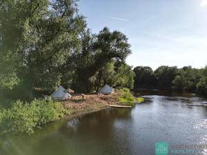 Prodej louky, Počedělice, 1504 m2