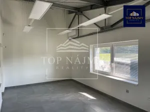 Pronájem skladu, Ostrava, Opavská, 500 m2