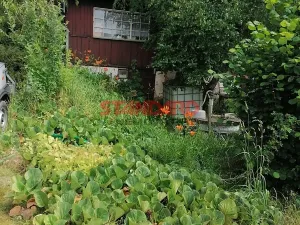 Prodej chaty, Dobřany, 54 m2