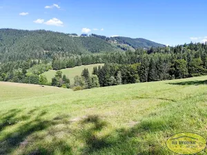Prodej chaty, Karolinka, 180 m2