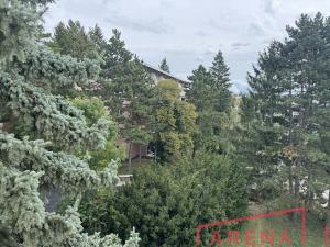 Prodej bytu 3+1, Brno, Neumannova, 67 m2