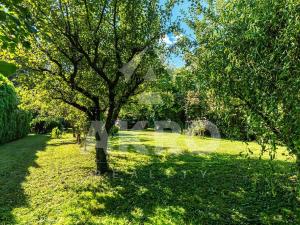 Prodej rodinného domu, Velký Osek, Revoluční, 50 m2