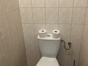 Pronájem ubytování, Hrotovice, 700 m2