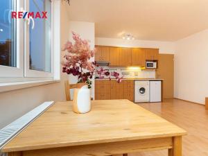 Pronájem bytu 1+kk, Praha - Libeň, Braunerova, 30 m2