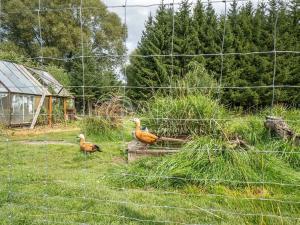 Prodej rodinného domu, Věšín, 80 m2
