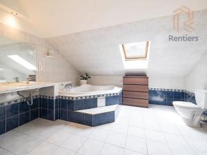 Prodej bytu 3+kk, Praha - Vinohrady, Lublaňská, 233 m2