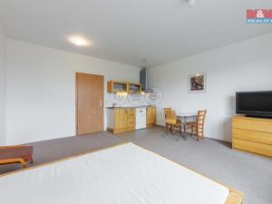 Pronájem bytu 1+kk, Karlovy Vary - Stará Role, Nejdlova, 33 m2