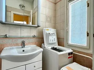 Pronájem bytu 1+1, Brno, Veselá, 50 m2