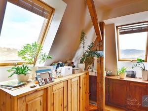 Prodej bytu 2+1, Ústí nad Labem, U Nemocnice, 90 m2