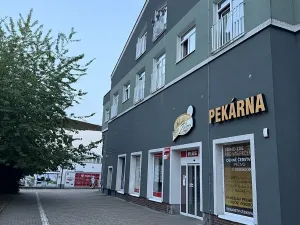 Pronájem bytu 1+kk, Plzeň, Nepomucká, 26 m2