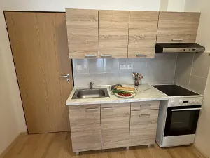 Pronájem bytu 1+kk, Plzeň, Nepomucká, 26 m2