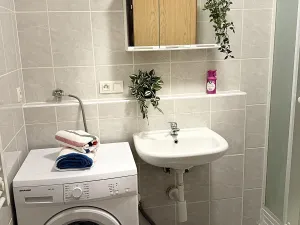 Pronájem bytu 1+kk, Plzeň, Nepomucká, 26 m2