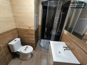 Pronájem bytu 1+1, Ústí nad Labem, Tolstého, 39 m2