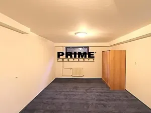 Pronájem rodinného domu, Průhonice, Sadová, 300 m2