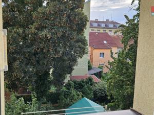 Pronájem bytu 1+kk, Plzeň - Východní Předměstí, Úslavská, 20 m2