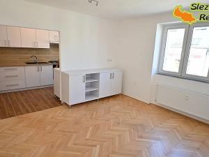 Pronájem bytu 3+1, Opava, Krnovská, 78 m2
