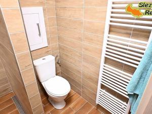 Pronájem bytu 3+1, Opava, Krnovská, 78 m2