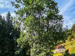 Prodej pozemku pro bydlení, Vítkovice, 3658 m2