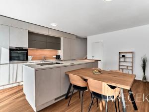 Prodej bytu 3+kk, Mladá Boleslav, Mileny Hážové, 93 m2