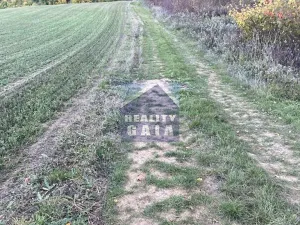 Prodej pozemku, Ždánice, 3224 m2