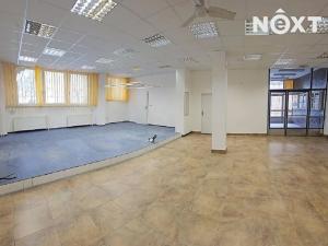 Pronájem kanceláře, Tábor, Světlogorská, 27 m2