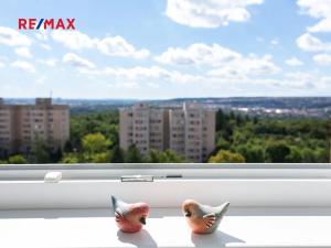 Prodej bytu 1+1, Praha - Troja, Krynická, 29 m2