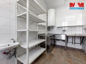 Prodej rodinného domu, Mlečice, 500 m2
