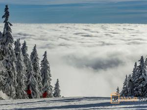 Prodej ubytování, Černý Důl, 377 m2