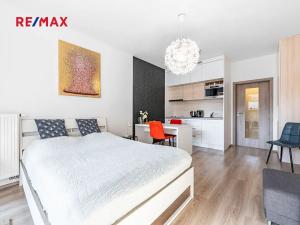 Pronájem bytu 1+kk, Praha - Vršovice, Petrohradská, 30 m2