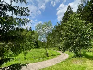 Prodej chalupy, Chocnějovice, 190 m2