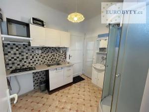 Pronájem bytu 1+kk, Praha - Nové Město, Zlatnická, 35 m2