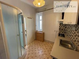 Pronájem bytu 1+kk, Praha - Nové Město, Zlatnická, 35 m2