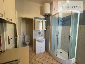 Pronájem bytu 1+kk, Praha - Nové Město, Zlatnická, 35 m2